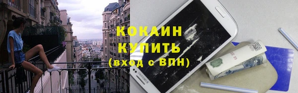 эйфоретик Вяземский