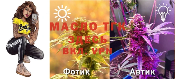 эйфоретик Вяземский
